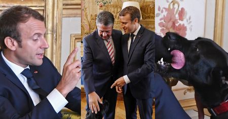 Macron zabrał psa na spotkanie dyplomatyczne! (ZDJĘCIA)