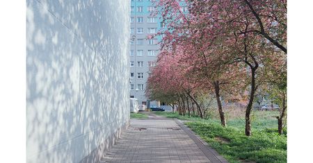 Palimpsest - w poszukiwaniu dawnych niemieckich cmentarzy w Polsce