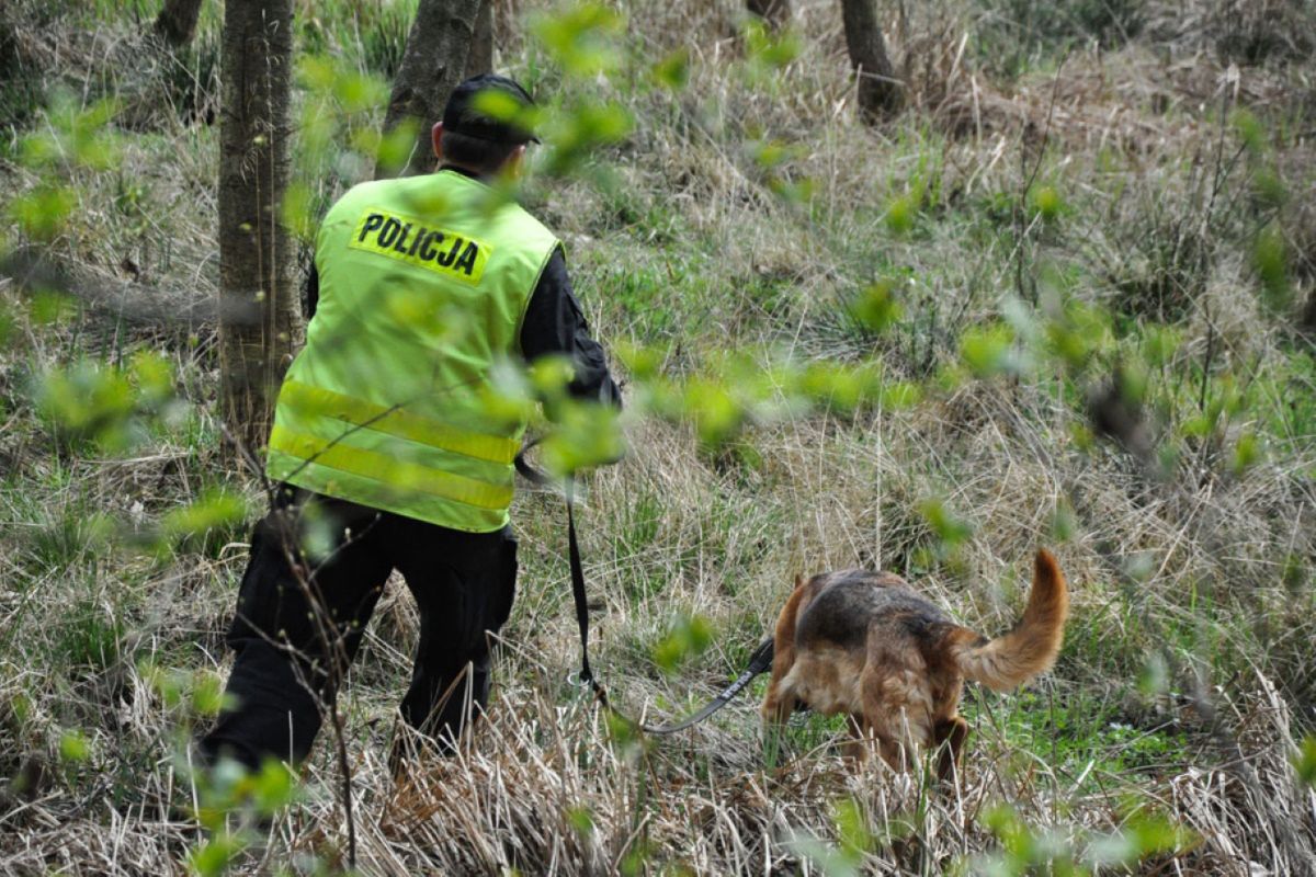 Poszedł na grzyby. Makabryczne odkrycie w lesie w Bukowcu