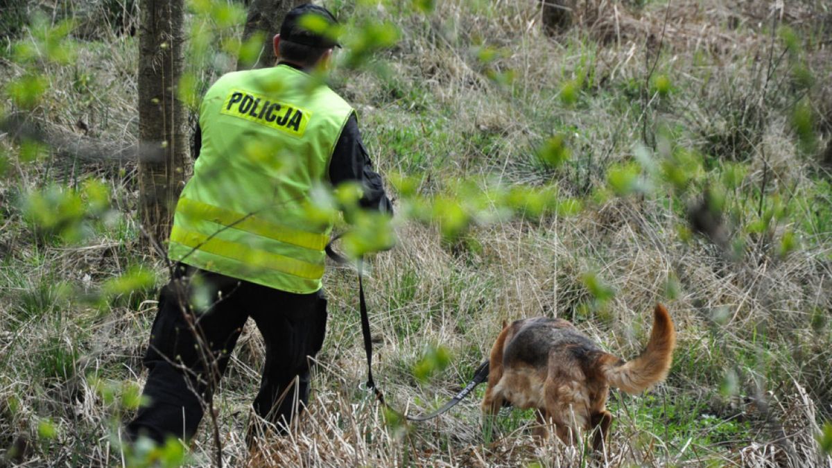 W lesie w Bukowcu odnaleziono zwłoki grzybiarza