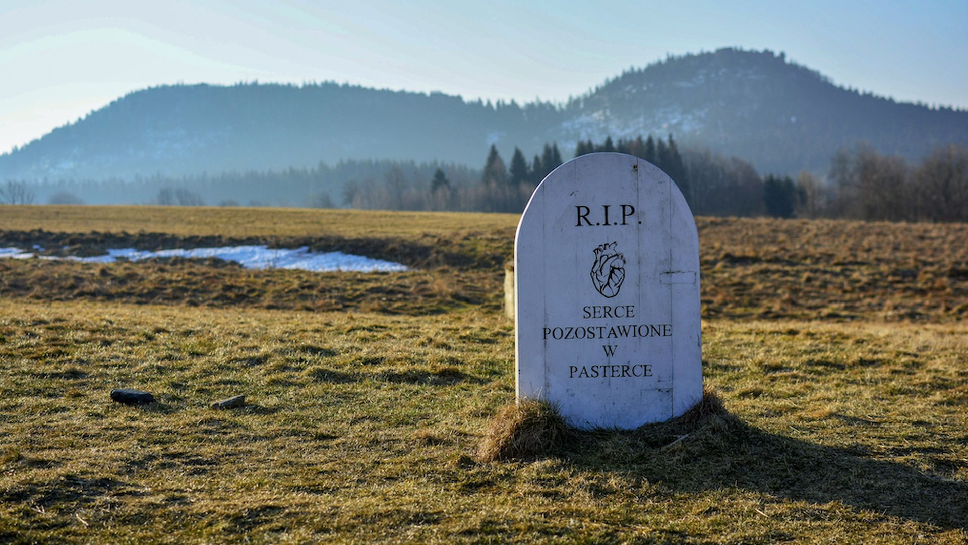 Pomniczek "serca pozostawionego w Pasterce"