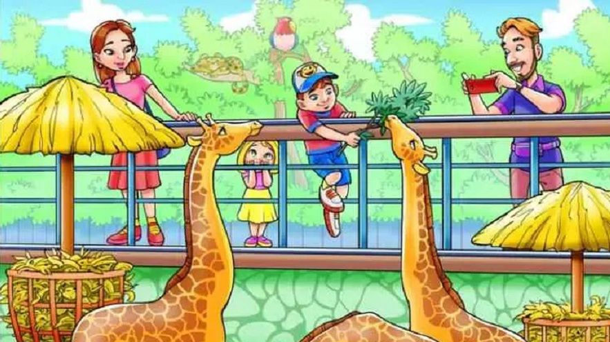 Gdzie ukryła się małpka?