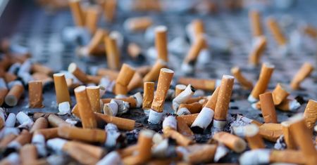Bez papierosów na plaży i w parku? Nowa rezolucja Parlamentu Europejskiego