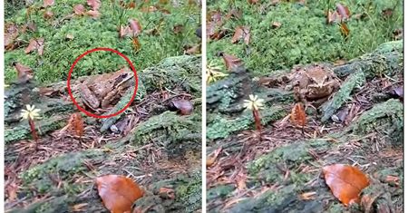 Gdy grudzień przypomina wiosnę. Ten widok mówi wszystko