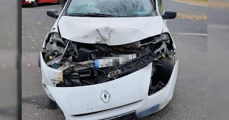 Pijany senior za kierownicą. 75-latek zakończył podróż na drzewie