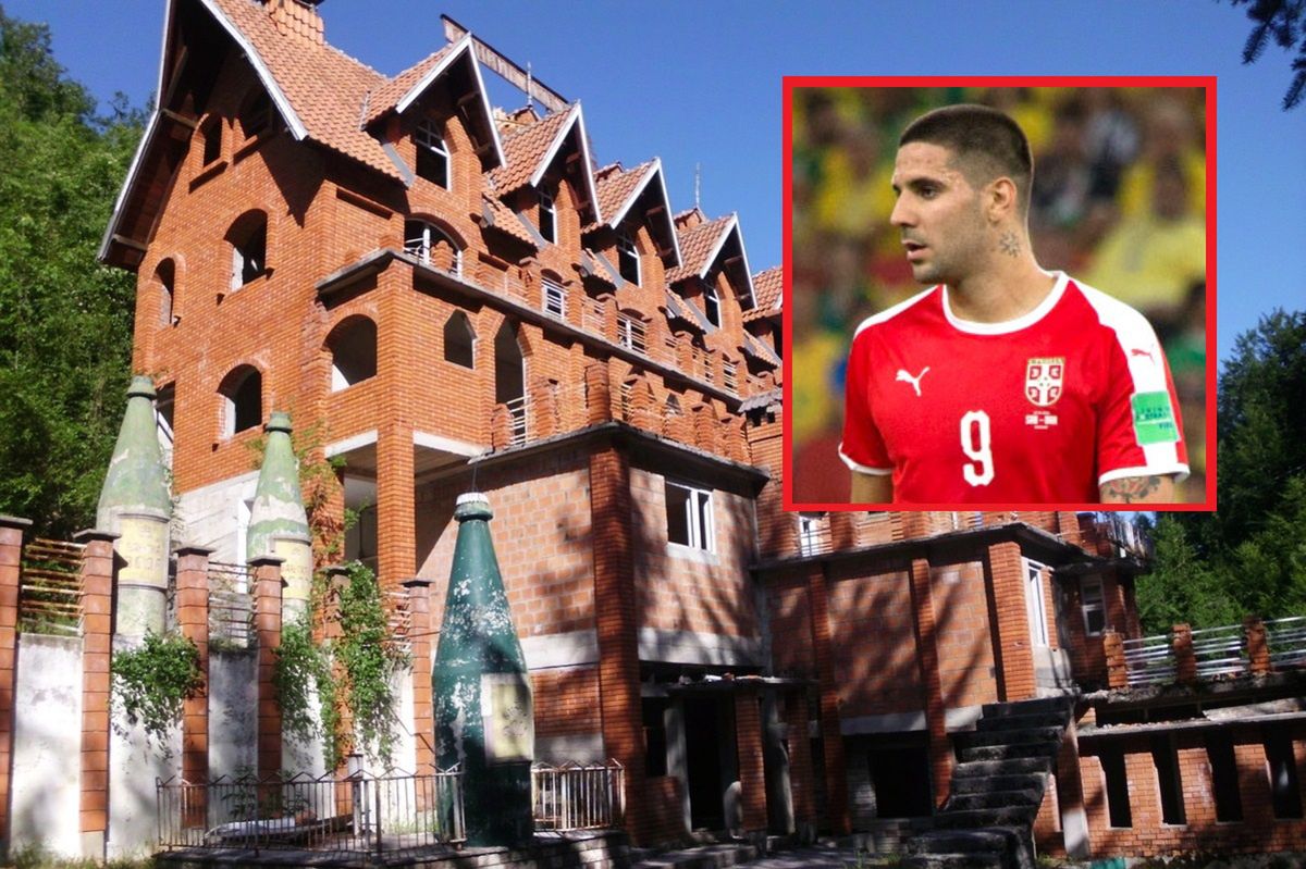 Aleksandar Mitrović bought a castle in Serbia