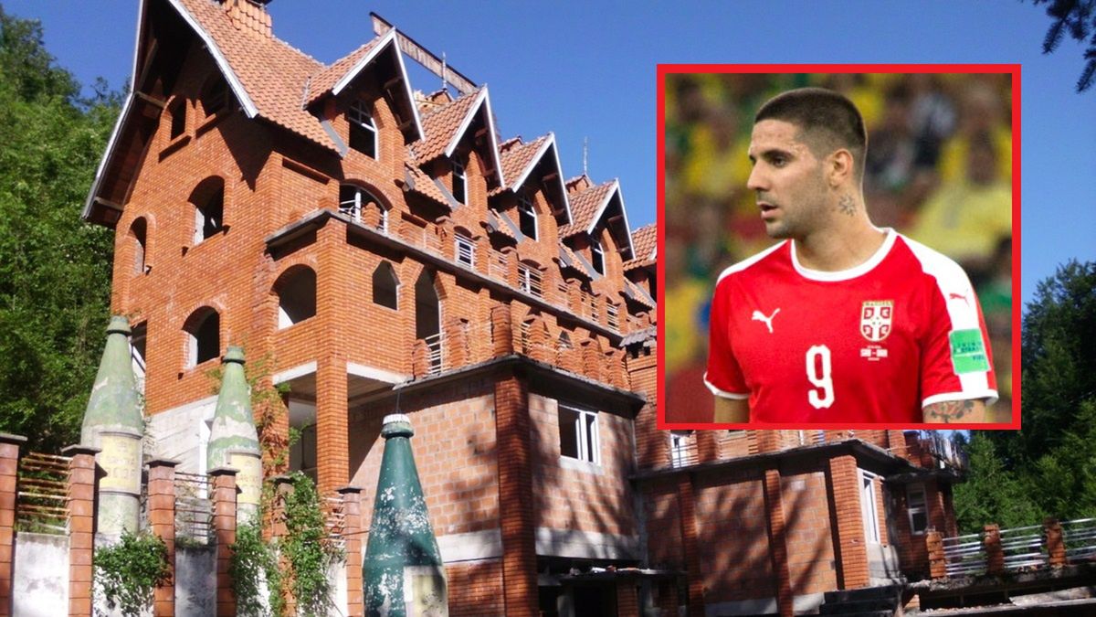 Aleksandar Mitrović kupił zamek w Serbii