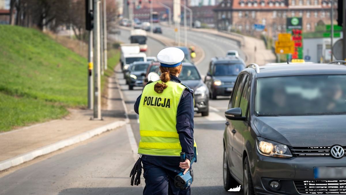Spośród wszystkich mandatów 90 proc. wystawia się za prędkość