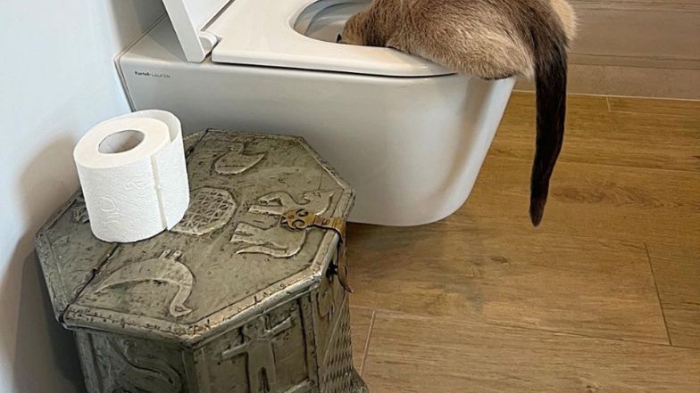 Łazienka w mieszkaniu Wojciechowskiej