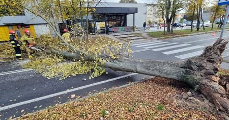 99 interwencji straży pożarnej