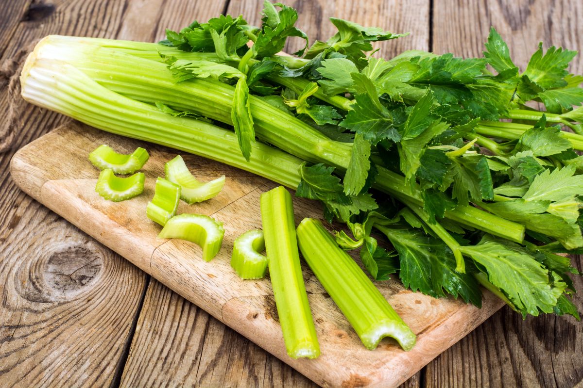 Celery stalk works well as an ingredient in a slaw.
