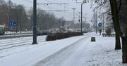 Częstochowa: Zimowy poranek. Śnieg zasypał miasto, idzie tęgi mróz