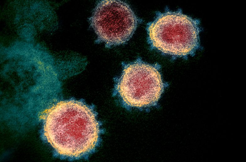 Nowa mutacja koronawirusa. "Jest odporna na przeciwciała"