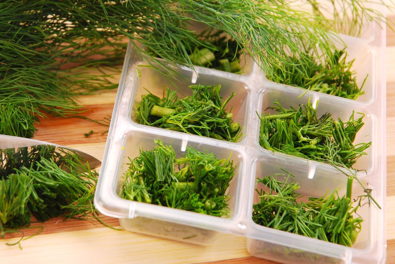 How to freeze dill?