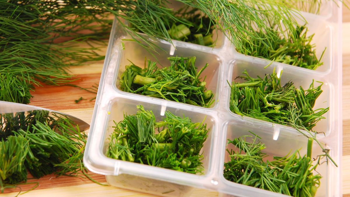 Jak mrozić koperek?