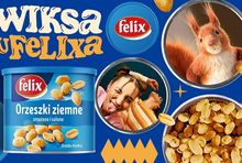grafika