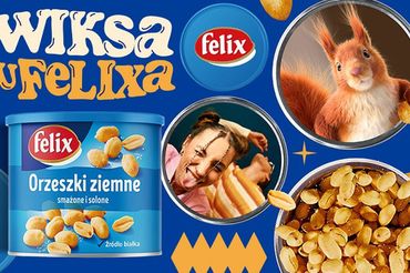 grafika