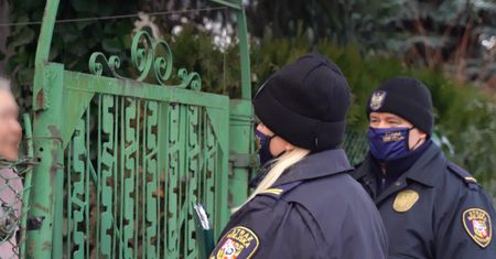 Wrocław. Praca dla miłośników zwierząt. Straż Miejska rekrutuje do konnych patroli