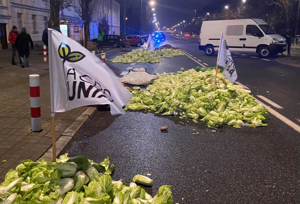 Protest rolników w Warszawie. W nocy byli przed domem Kaczyńskiego