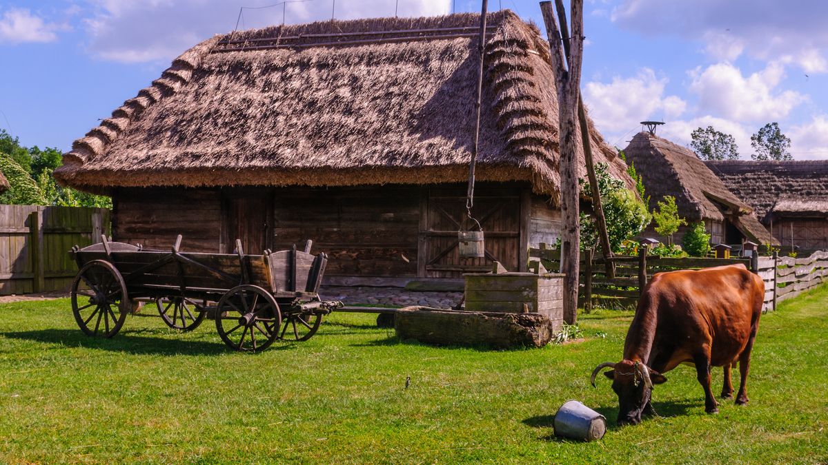 Co wiesz o życiu na wsi? 