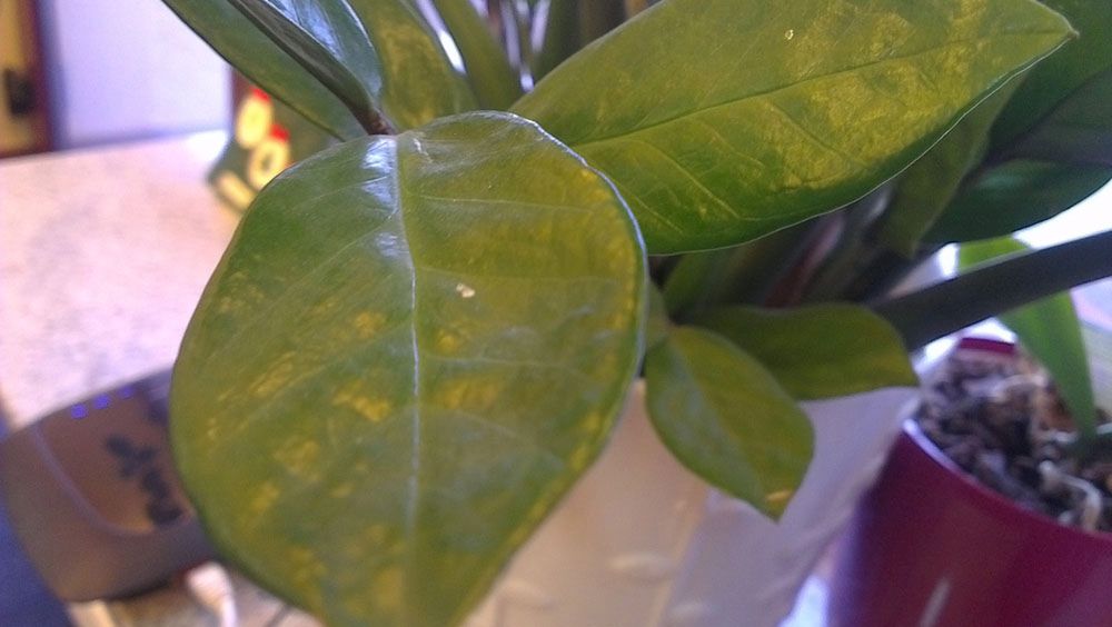 HTC One X - test 15