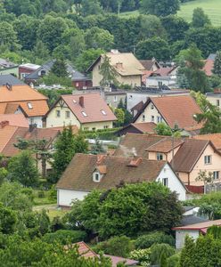 Polacy na swoim. W Europie jesteśmy liderem