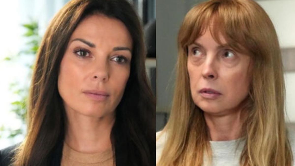 "Barwy szczęścia", odc. 3325