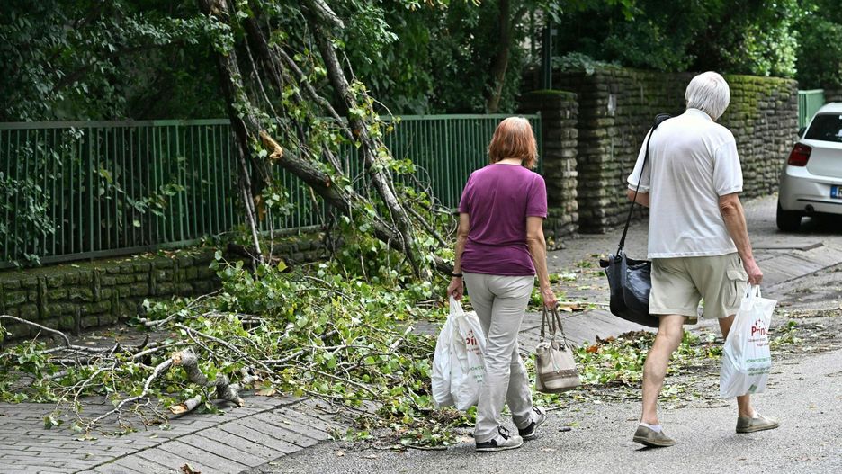 Temporary
An elderly couple walks with their shopping plastic bags beside a broken tree in Budapest downtown, Hungary on August 05, 2023. Due to severe weather, over a thousand reports were received by the Budapest Directorate General of Disaster Management on August 05. People mainly requested assistance from firefighters due to fallen trees, downed power lines, damaged buildings, and water pumping operations. (Photo by ATTILA KISBENEDEK / AFP)
ATTILA KISBENEDEK