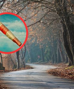 Mokry i wietrzny weekend. IMGW wydał ostrzeżenia