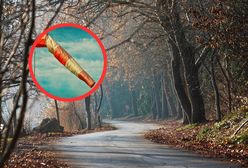 Mokry i wietrzny weekend. IMGW wydał ostrzeżenia