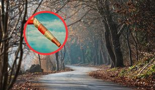 Mokry i wietrzny weekend. IMGW wydał ostrzeżenia