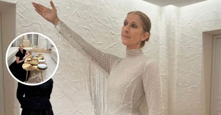"Bardziej nie mogliście z niej zakpić". Burza pod zdjęciem Celine Dion u Diora