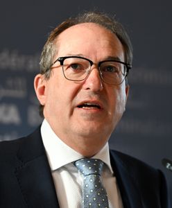 "Niemiecka partia Putina". Szef niemieckiego MSW oskarża AfD