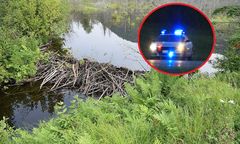 Koszmarne odkrycie na bagnach przy granicy Kanady z USA