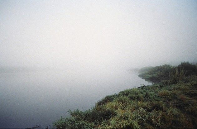 Fotografia przyrodnicza - 15 inspirujących zdjęć dla miłośników przyrody [galeria] 2