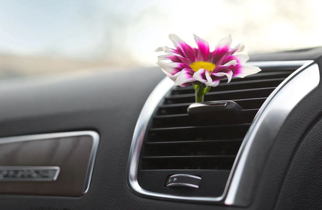 Naukowcy twierdzą, że zapach nowego samochodu może być szkodliwy dla zdrowia