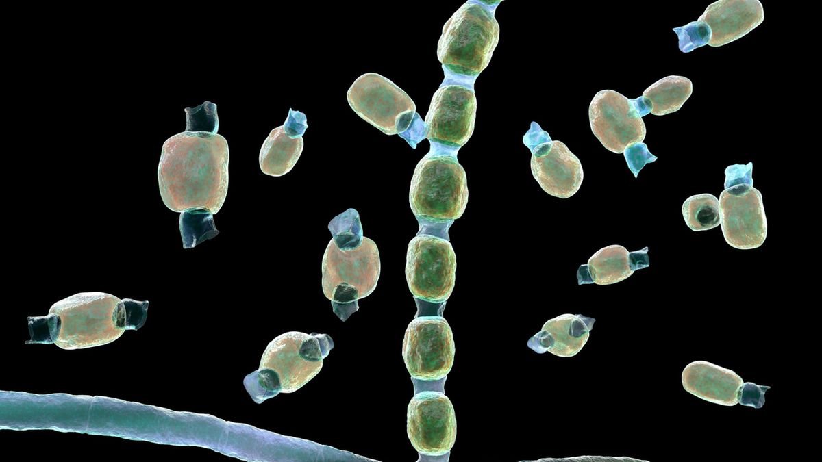 Kokcydioidomikoza może przebiegać bezobjawowo