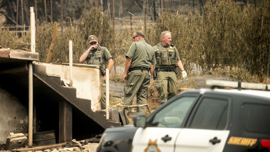 Tragedia. Na polu pszenicy znaleziono cztery ciała
