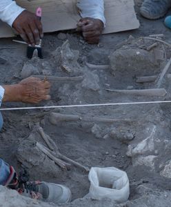 Podczas budowy kolejki odkryto starożytny grób Majów