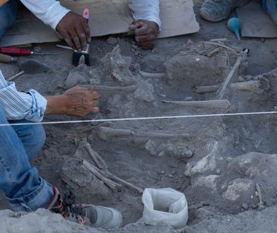 Podczas budowy kolejki odkryto starożytny grób Majów