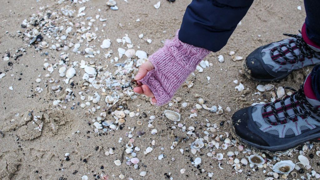 Bursztyny najlepiej szukać od jesieni do wiosny