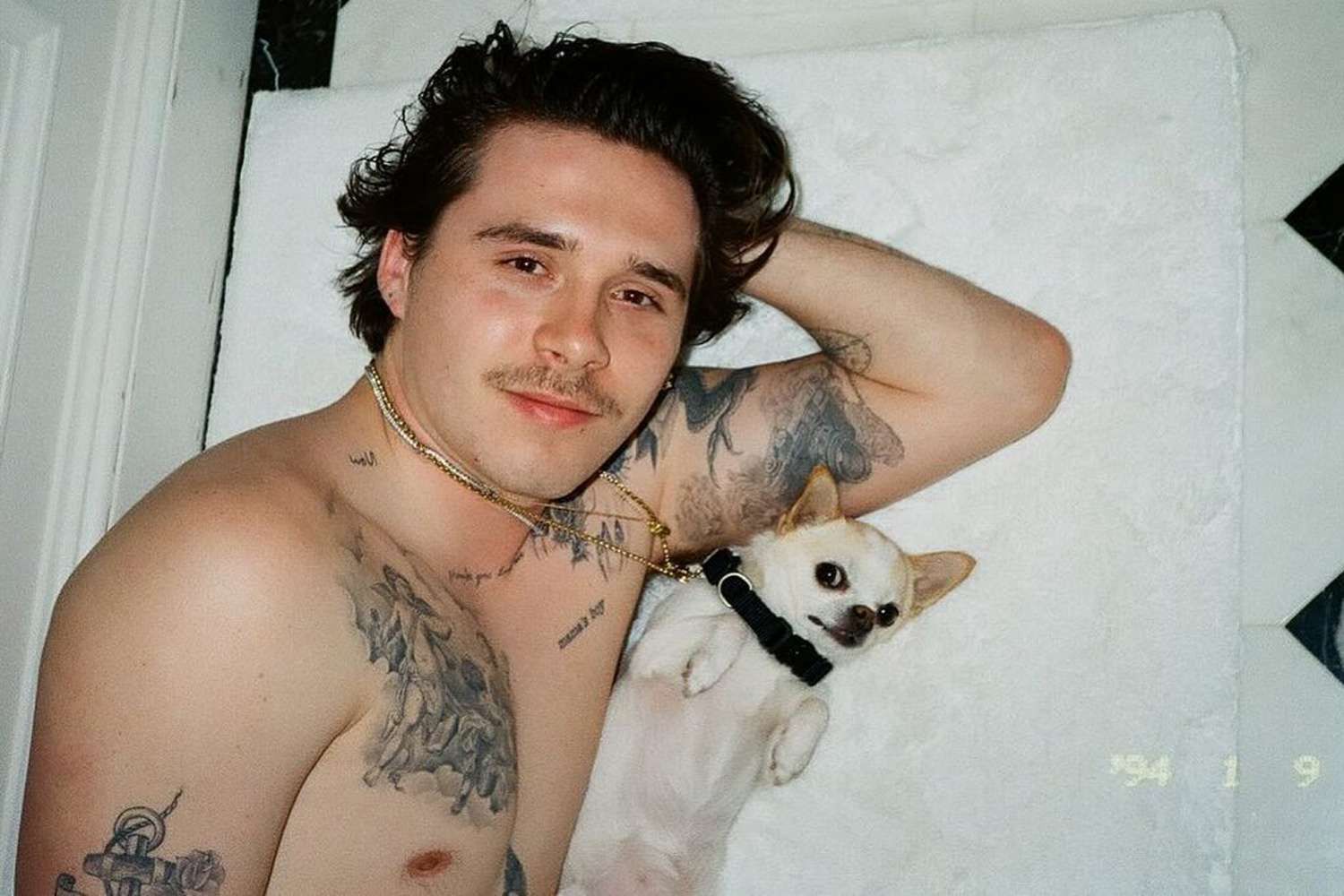 Brooklyn Beckhamem z psem