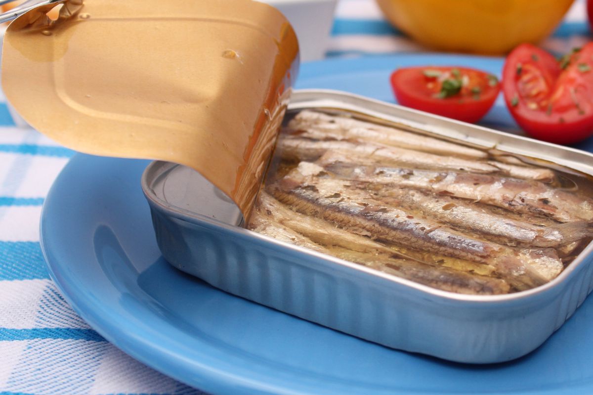 How to recognise real anchovies?