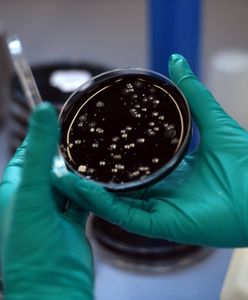 Śledztwo ABW ws. legionelli. Jest komunikat