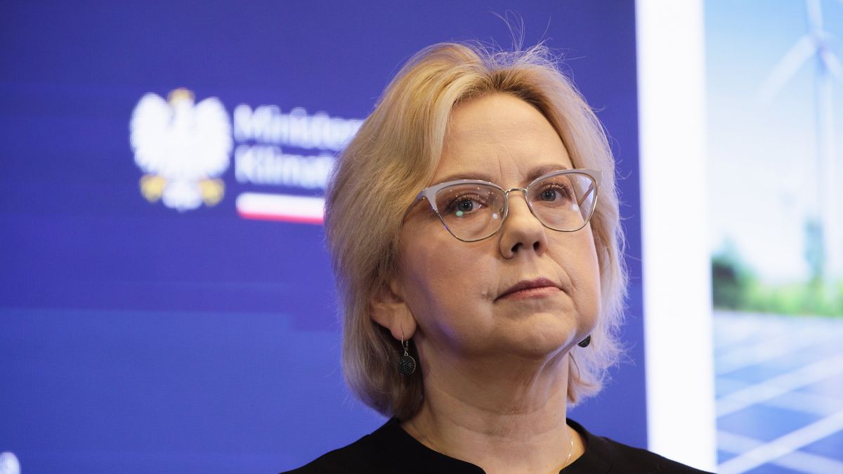 Minister klimatu Anna Moskwa