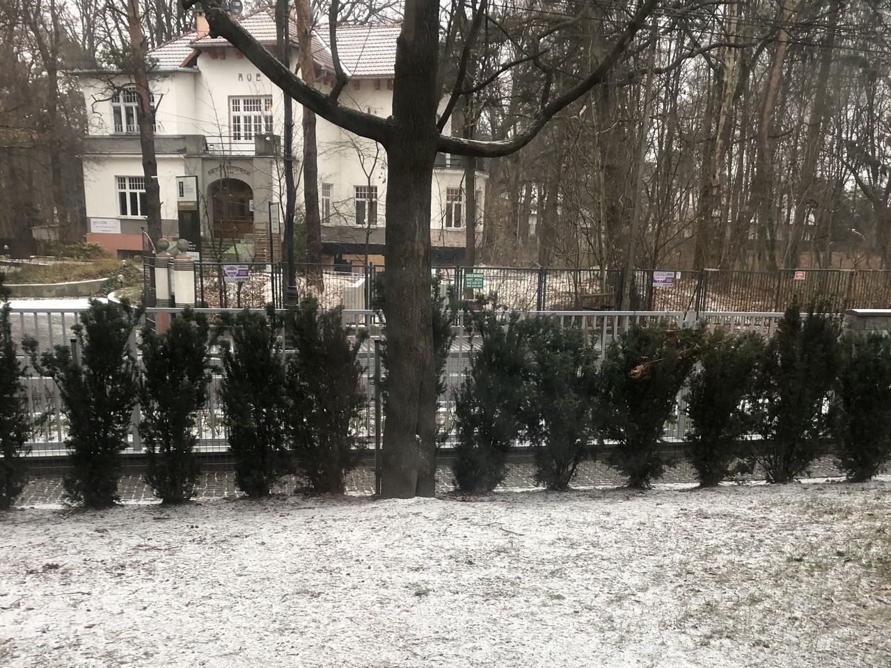 Warszawa. Spadł pierwszy śnieg! IMGW alarmuje