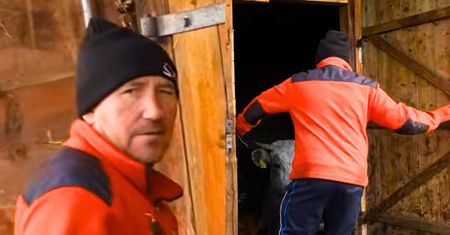 Tu Andrzej z Plutycz trzyma 41 krów. "Zgłoszę cię do sanepidu"