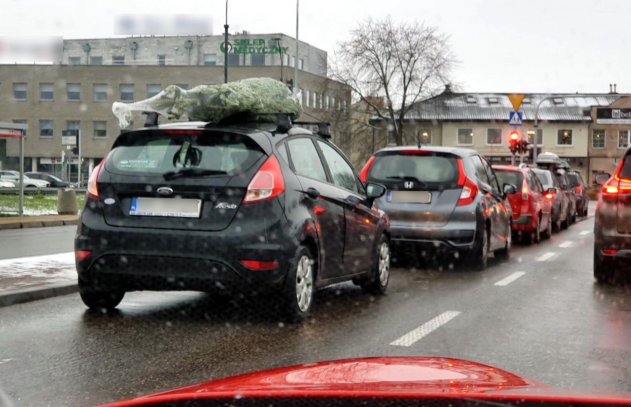 Jak przewieźć choinkę i uniknąć mandatu? Policja podaje zasadę