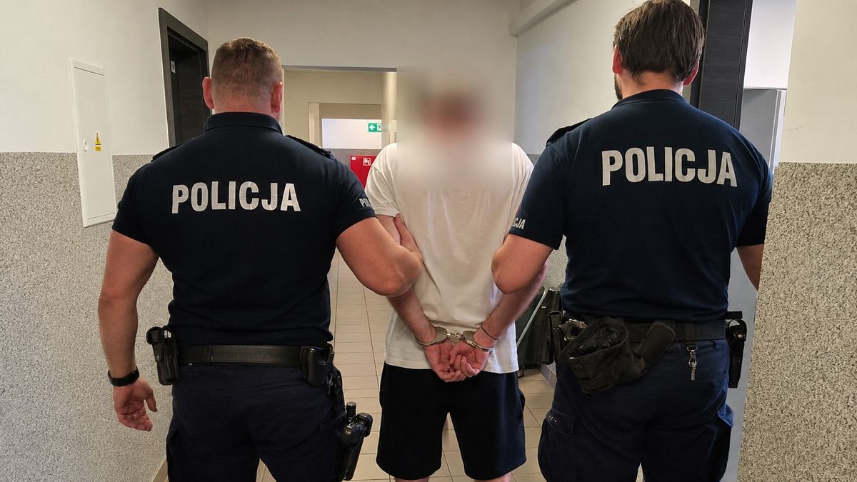 Zatrzymany za kradzieże w Trzciance