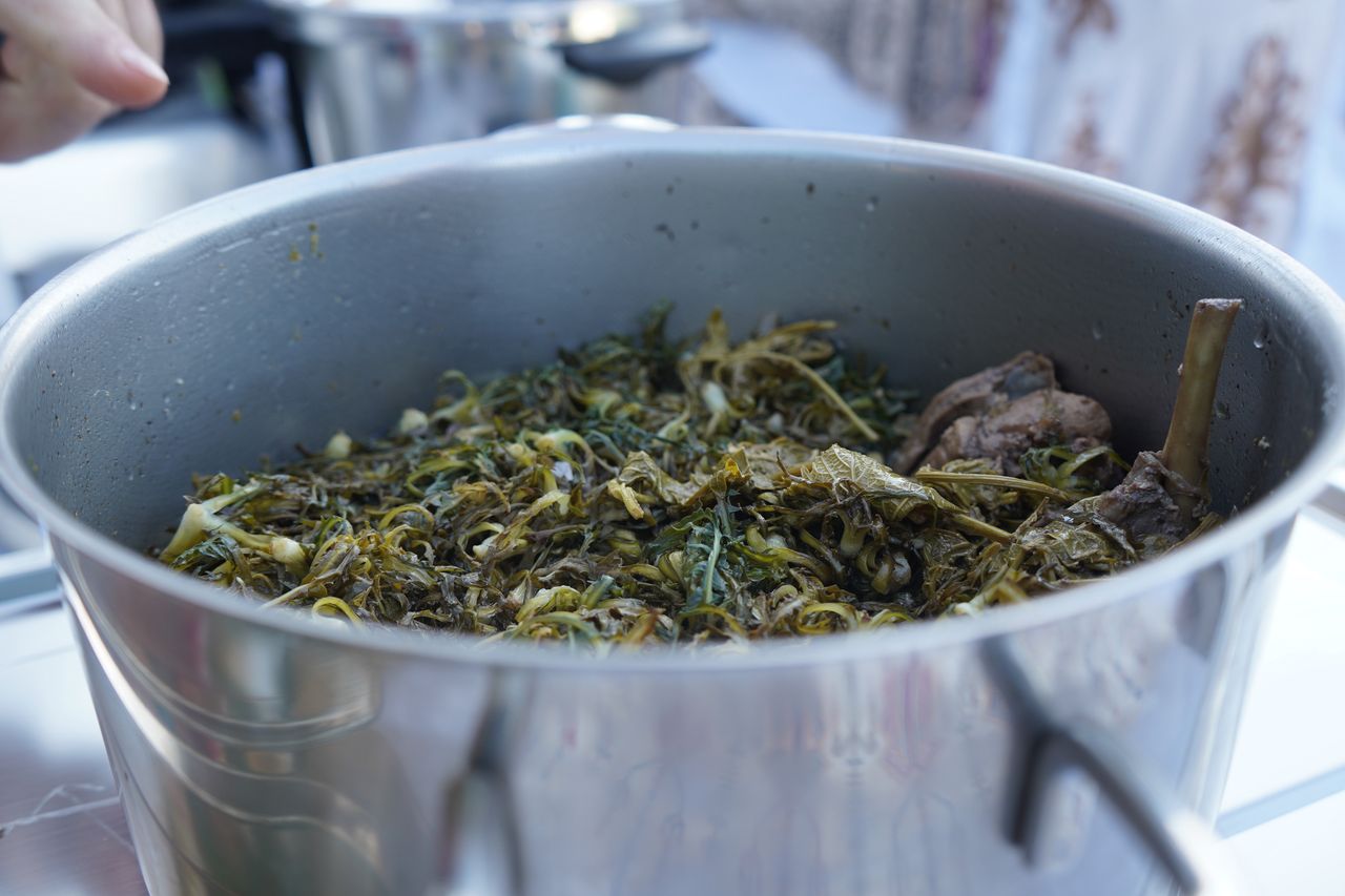 Na Krecie kosztuje krocie w restauracjach. W Polsce rośnie dziko i nikt jej nie zbiera